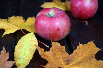 Two red apples on a dark wooden table with yellow maple leaves