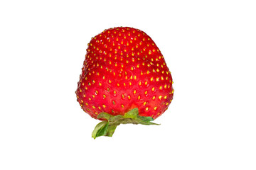 fraise fruit