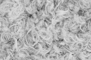 Obraz premium White goose feathers and fluff from pillows texture