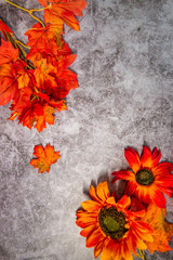 orange leaves on a dark background