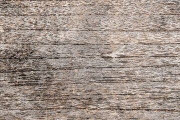 Fototapeta premium Old gray wooden wall, background and texture, close up