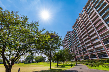 Obraz premium 流山おおたかの森 西初石近隣公園の風景