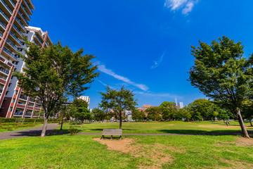 Obraz premium 流山おおたかの森 西初石近隣公園の風景