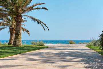 Path with palms leading to the beach of the azure mediterranean sea and surrounded by a beautiful nature of Cyprus. Ayia Napa.