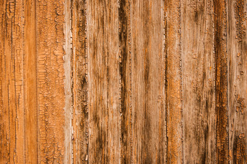 Fototapeta na wymiar wood texture from wide dry boards