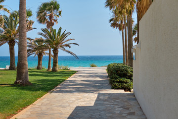 Fototapeta na wymiar Path with palms leading to the beach of the azure mediterranean sea and surrounded by a beautiful nature of Cyprus. Ayia Napa.