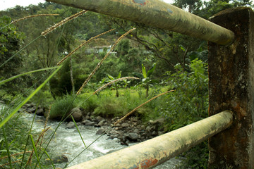 Jungle whit river 