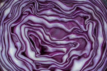 Background of the blue cabbage in the cut. Close up, top view. Texture raw purple cabbage