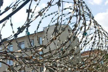  steel, barbed, wire, danger, protection,  camp, border,  arrest, barb, nature, barb,  wire,   barbed,   barbwire,  barrier,  bars,   boundary,   crime,  defense,  fence,  forbidden,  forces,  freedom
