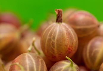 Ripe gooseberries as a background