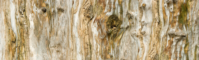  image of old wood texture closeup