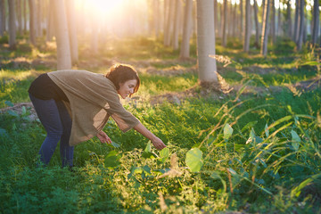 Latin brunette woman walks among the trees of a forest at sunset. The sun's rays enter through the vegetation. She wears a brown sweater, a black T-shirt and a jeans.