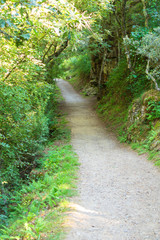 Fototapeta premium Paisajes