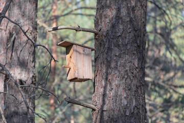 New wooden birdhouse on a tree for forest birds in the forest