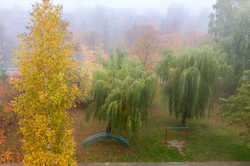 Autumn is here. Aerial view scenery orange green leaf fall trees with fitness vintage ladder and horizontal bar yard