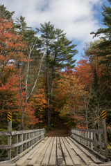 Fototapeta na wymiar bridge over river in autumn