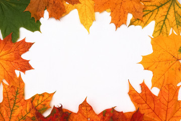 Yellow, green, red leaves of trees.