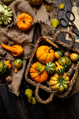 overhead shot of assorted small colorful pumpkins in wicker straw basket on rustic wooden thanksgiving table on sackcloth