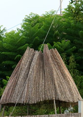 Texture - the preferred orientation of the elements that make up the material and product