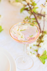 Fruits martini in a festive glass, wedding boho`s table closeup