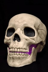 Frightening skull glowing through the jaw with a purple light.