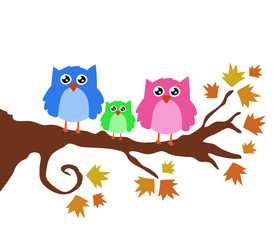Cute Cartoon Owls