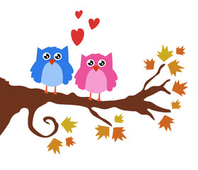Cute Cartoon Owls