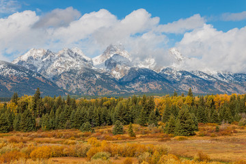 Fototapeta premium Scenic Autumn Landscape in the Tetons