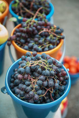 A bucket of freshly picked organic grapes. Harvest concept