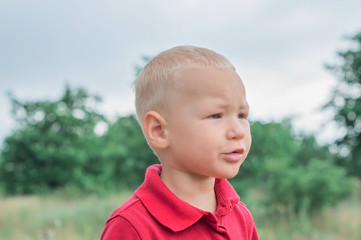 Portrait of handsome blond little boy in garden