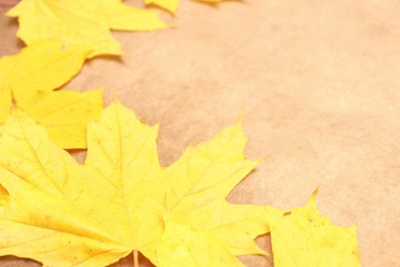 Yellow, green, red leaves of trees.