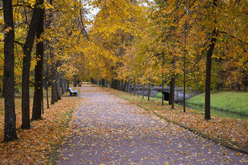 amazing view of an autumn yellow alley in park of Menshikov palace, Oranienbaum, near Saint Petersburg, Russia