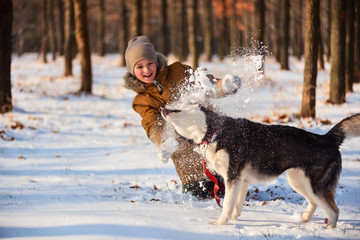 Boy is playing with husky in collar in winter park