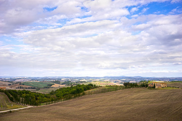 Fototapeta na wymiar rural landscape on the Tuscany hills