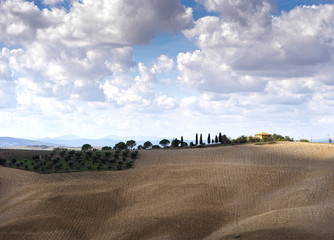 Obraz premium rural landscape on the Tuscany hills