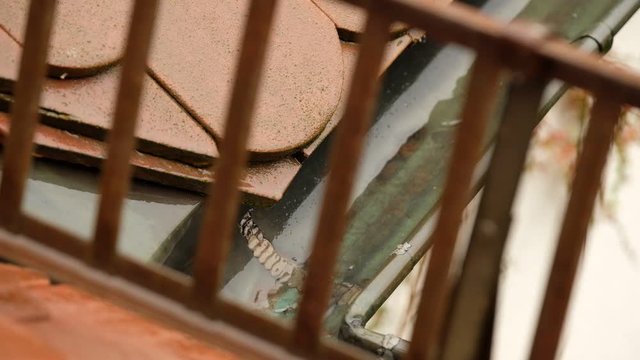 Water on the tiles of a roof is flowing down and dripping into a copper rain gutter on a rainy autumn day in Germany