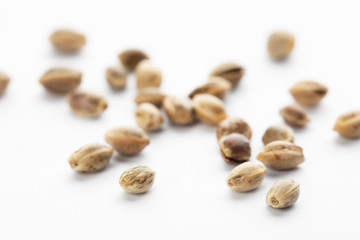 Raw organic hemp seeds on white background