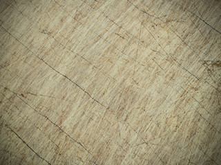 Texture of bark old wood use as natural background