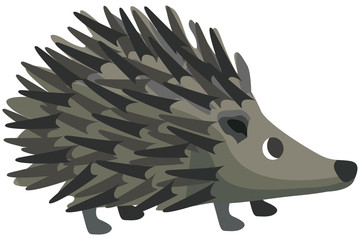 Cartoon hedgehog flat illustration © Anastasiia
