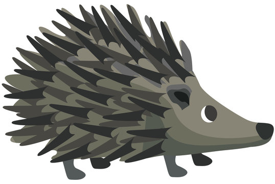 Cartoon hedgehog flat vector illustration