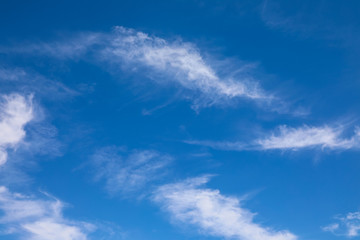 Naklejka na ściany i meble Small, cirrus clouds streaking against a blue sky