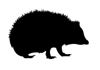 Hedgehog silhouette vector illustration isolated