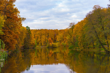 autumn landscape with lake and trees