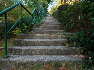 old stone staircase between trees