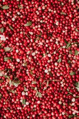 Red ripe berries of a cowberry (lingonberry, Vaccinium vitis-idaea, partridgeberry) with green leaves.