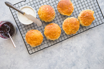 Homemade scones serve with homemade currant jam,clotted cream . Scones is English pastry for...