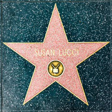Closeup Of Star On The Hollywood Walk Of Fame For Susan Lucci