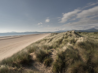 Golden light hits the dunes of a beach in Wales