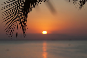 Sea sunset through the leaves the sun is out of focus © Serghei