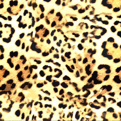 Leopard skin print pattern colored design wall effect